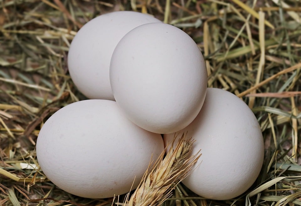 Que faire avec des blancs d’œufs : nos idées de recettes