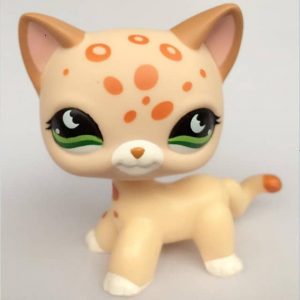 ▷ Petshop ▷ Avis de la rédaction et test produit