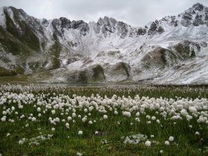 Séjour Tignes : c’est où et comment y aller ?