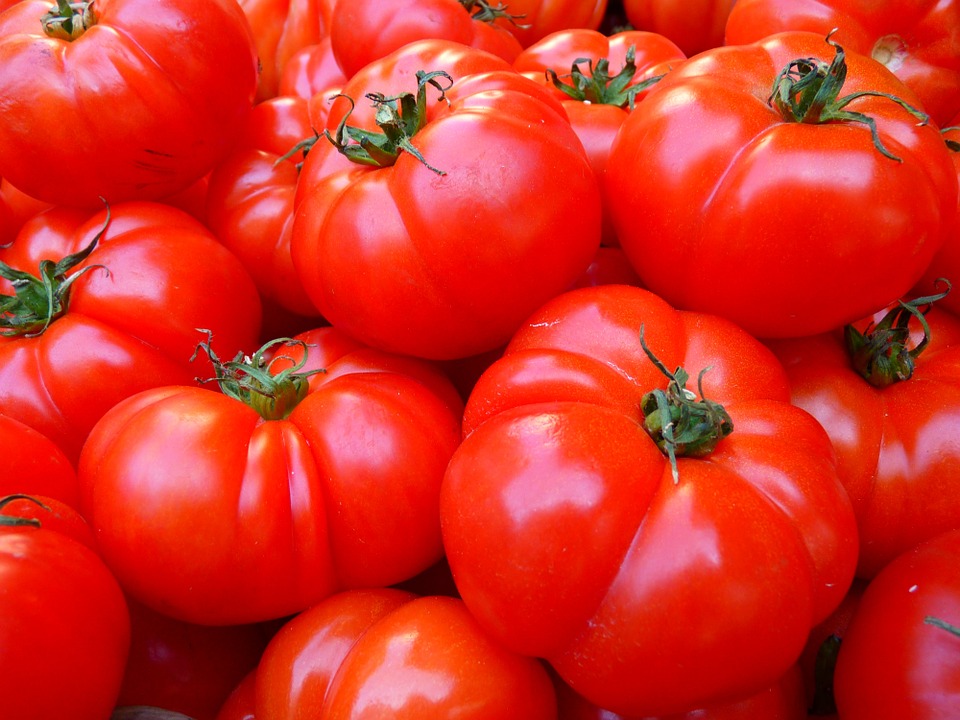 Planter tomates : comment s’y prendre ?