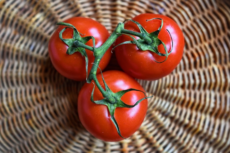 Calorie tomate : ses déclinaisons, bienfaits et son utilisation