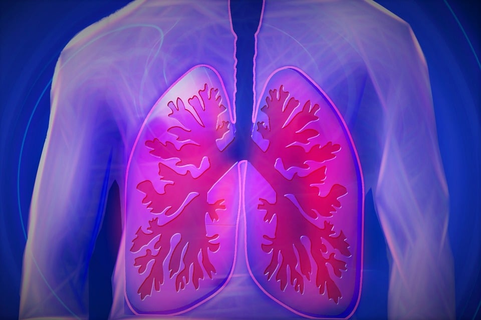 Cancer du poumon symptomes phase terminale : que savoir ?