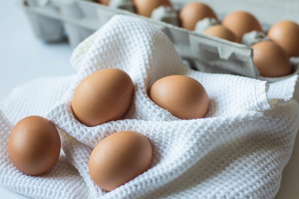 Comment savoir si un œuf est frais : tous nos conseils