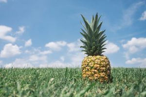 Faire pousser un ananas : guide pratique
