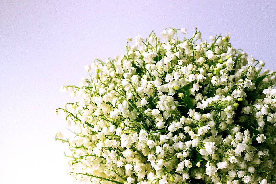 Muguet buccal : causes, symptômes et traitements