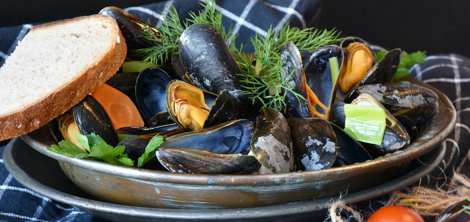 Moules enceinte : peut-on en manger ?