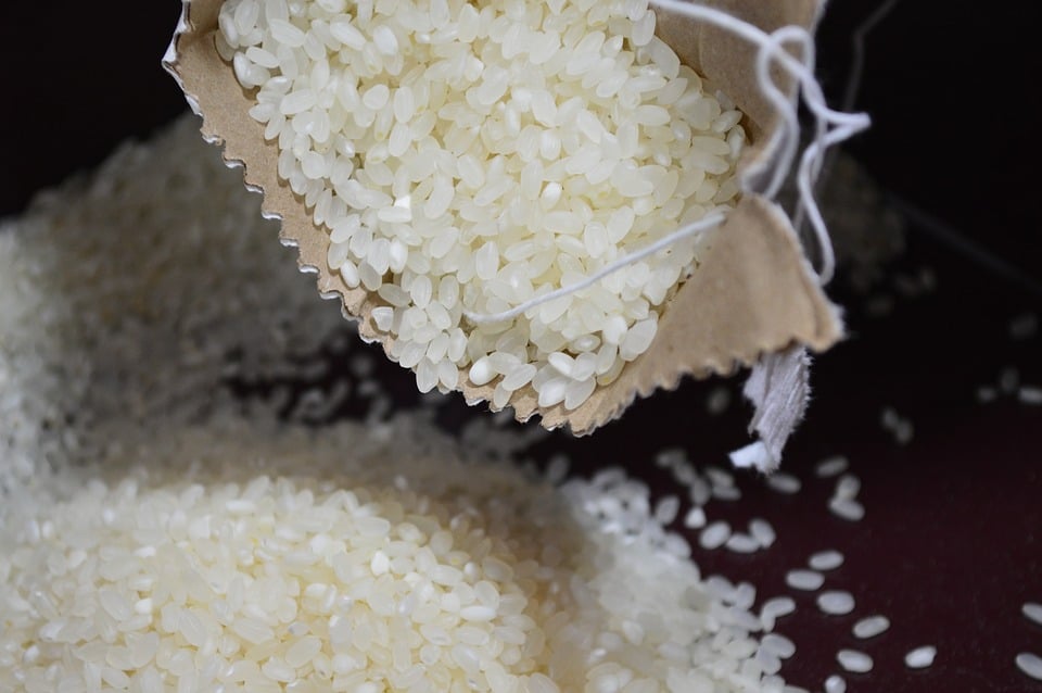 Riz gluten : tout connaître de cette protéine présente dans le riz