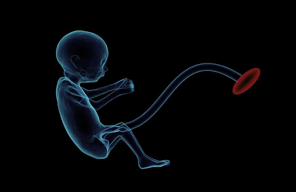 Foetus : que savoir du premier au neuvième mois ?