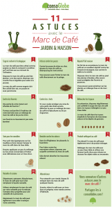 Marc de café jardin : les différentes utilisations