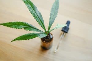 Quel CBD prendre ?