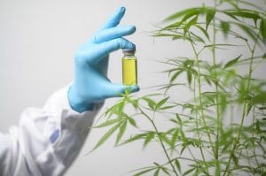Le top 5 des meilleurs sites de CBD