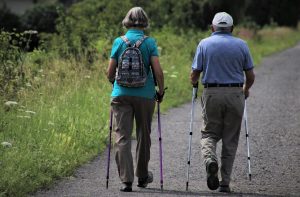 Quelles sont les activités préférées des seniors ?