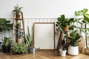 Comment choisir les plantes artificielles d’intérieur selon votre style de décoration et l’espace disponible ?