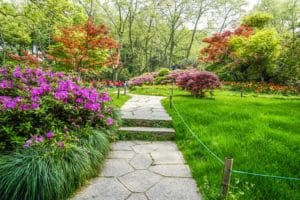 Mon jardin au mois d’avril : de quoi bien s’occuper en début de printemps